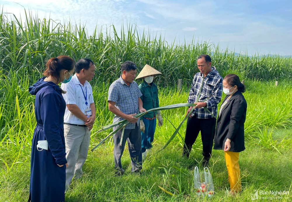 bna-can-bo-trung-tam-dich-vu-nong-nghiep-huong-dan-ba-con-cach-phong-tru-hieu-qua-nhat-2967