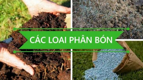 CÁC LOẠI PHÂN BÓN MÀ NÔNG DÂN NHẤT ĐỊNH PHẢI BIẾT - ƯU VÀ NHƯỢC ĐIỂM CỦA TỪNG LOẠI!